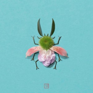 Natura Insects by Raku Inoue