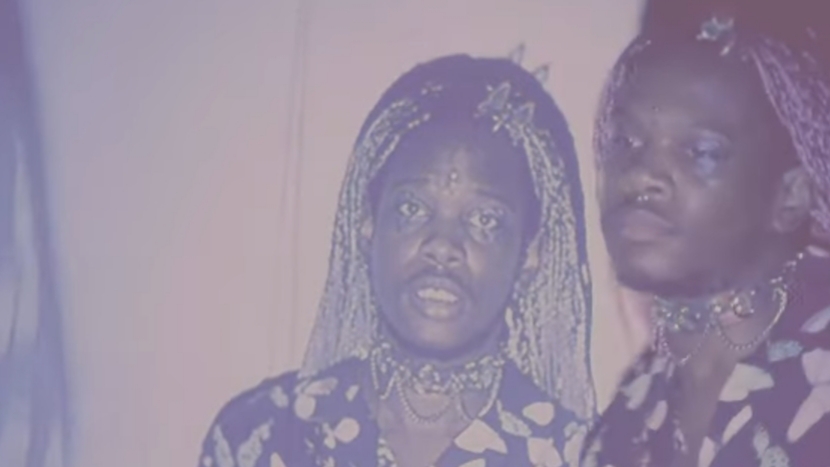 To introduce: Shamir Bailey - American singer and musician. Image by Shamir Bailey.