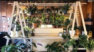 DISPLAY by Tim Denton in Manchester UK. Image by Fiona Finchet.