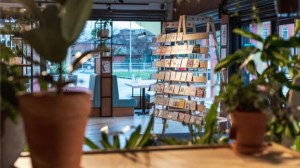 DISPLAY by Tim Denton in Manchester UK. Image by Fiona Finchet.