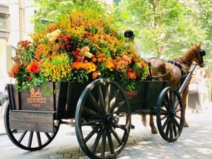 X-ray flowers by Azuma Makoto in Japan. Image by Azuma Makoto. 