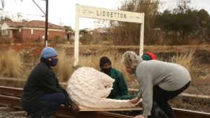 To introduce: Fee Halsten of Ardmore artists. Image by Ardmore IG