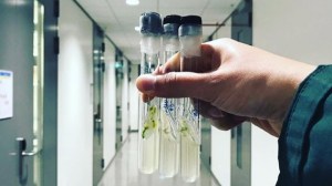 To introduce: Biogarmentry by Roya Aghahi and scientists of University of British Columbia. Image of Roya Aghahi.