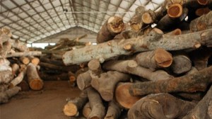 To introduce: Roger&Sons carpentry business. Image by Roger&Sons.