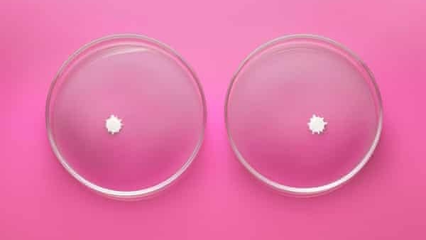 Biomilq - Photograph: Lol Keegan/The Guardian. Props: Propped Up